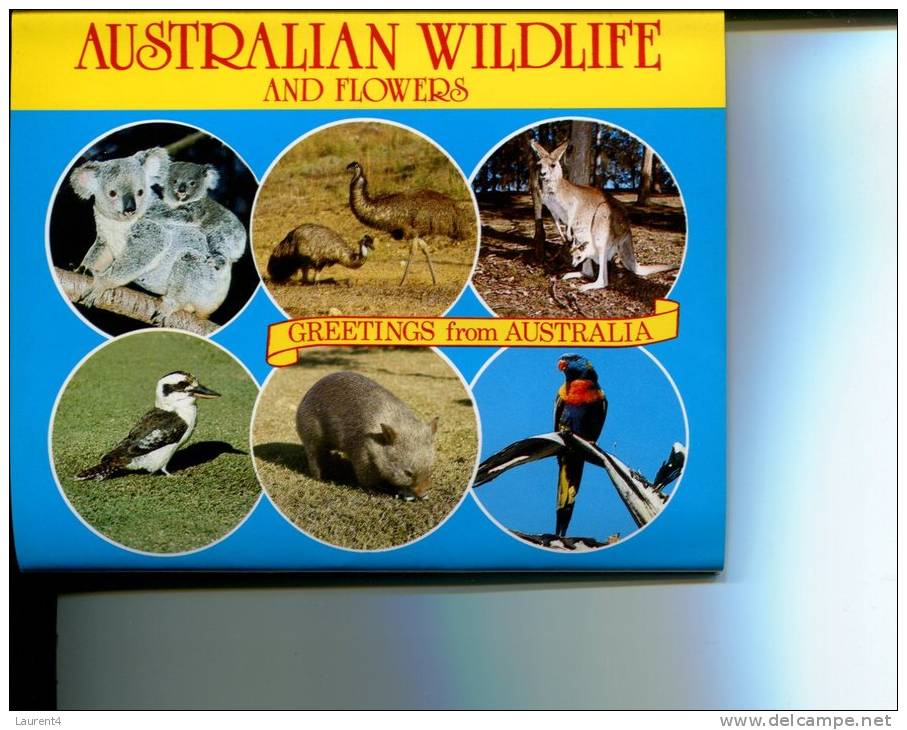 (folder 18) Australia - Wildlife And Flowers - Outback