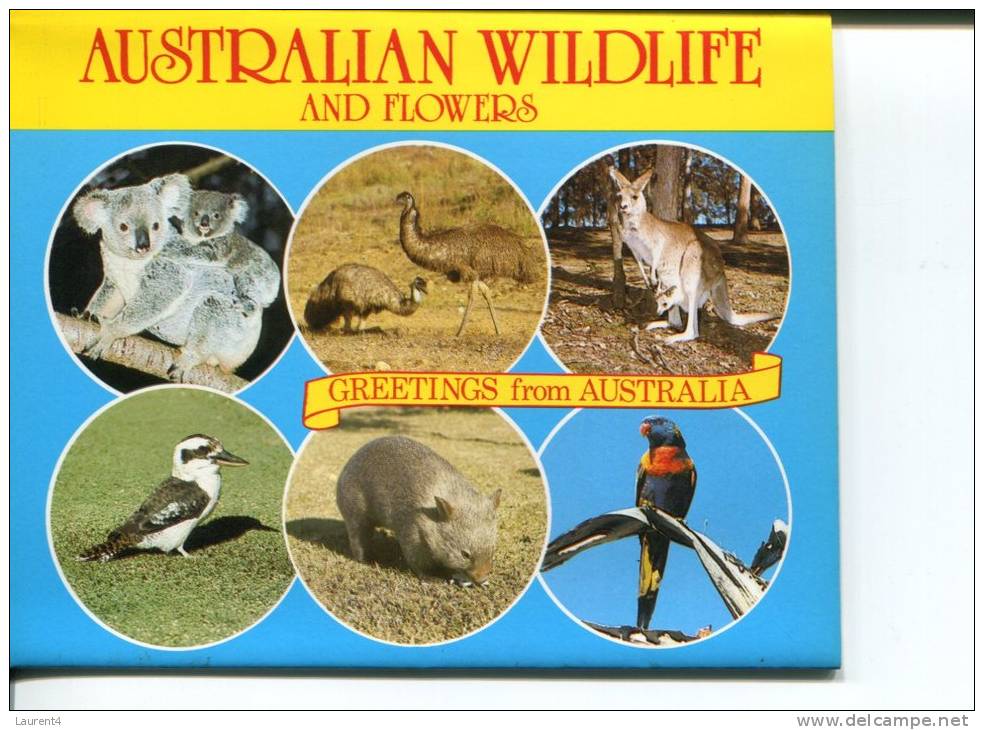 (folder 18) Australia - Wildlife And Flowers - Outback