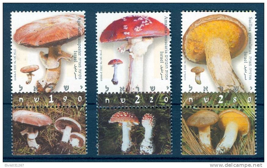 Israel - 2002, Michel/Philex No. : 1675-1677 - MNH - *** - - Nuevos (con Tab)