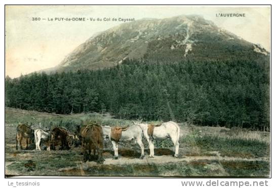 AUVERGNE - Le Puy-de-Dome Vu Du Col De Ceyssat - Chevaux De Selle Au Repos - Auvergne