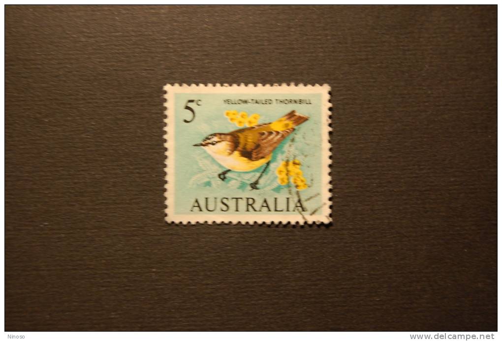 AUSTRALIA 1 VALORE USATO 1966  UCCELLO - Sparrows
