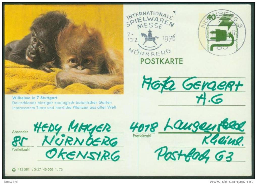 BPK 1975 Mi: P 116 Serie  C  3 Karten (Tiermotive) (Bedarfspost) (>weitere Bilder Innen - Bildpostkarten - Gebraucht