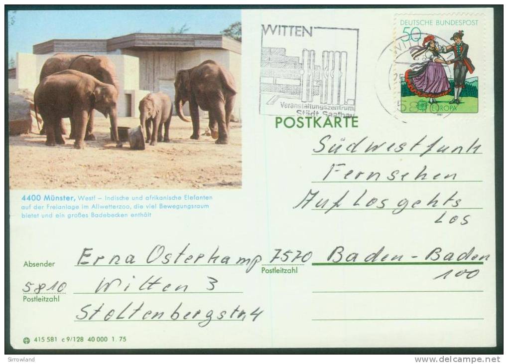 BPK 1975 Mi: P 116 Serie  C  3 Karten (Tiermotive) (Bedarfspost) (>weitere Bilder Innen - Bildpostkarten - Gebraucht