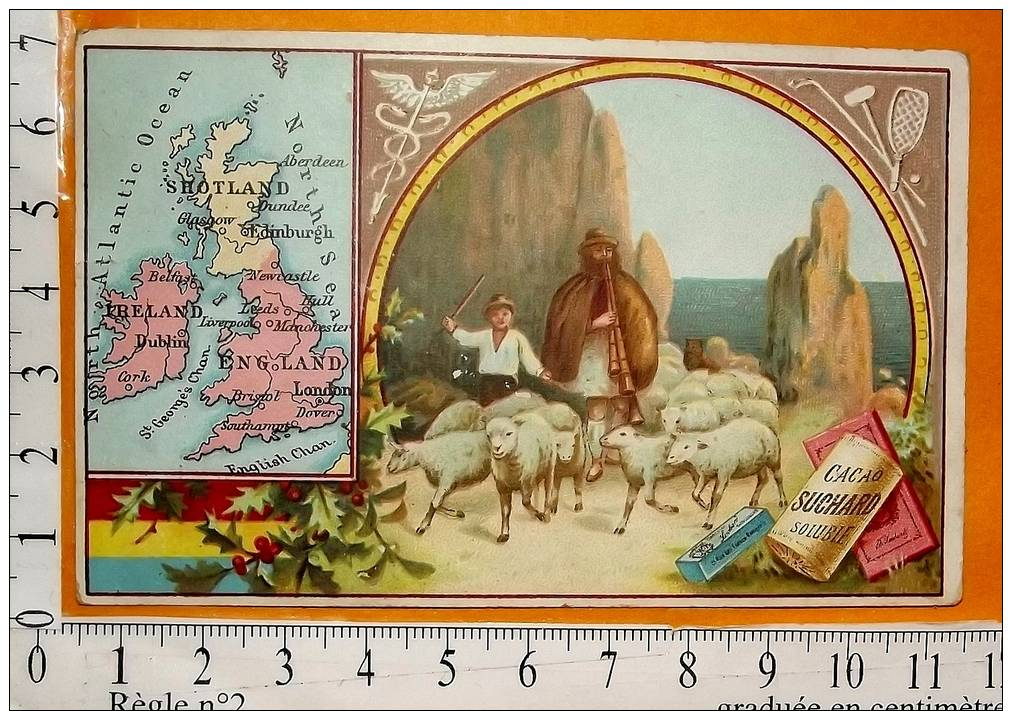 Chromo  Fin 19° Début 20 °/ Cacao Chocolat Suchard / Géographie Carte Grande Bretagne Angland Irlande / Berger Flute - Suchard