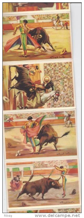 Bullfighting  Leporello - 10 Drawings  # 839 # - Sports