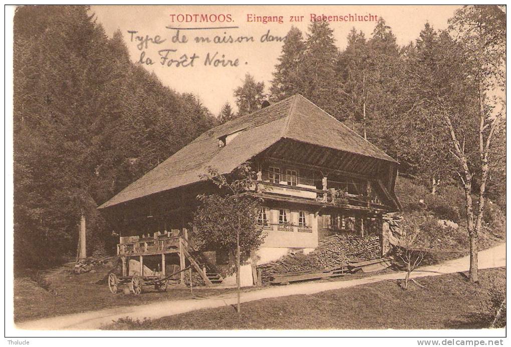 Todtmoos (Waldshut-Bade-Wurtemberg )-1907-Eingang Zur Rabenschlucht-Forêt Noire-Ecrite De La Maison Batzenhaus (scan) - Todtmoos