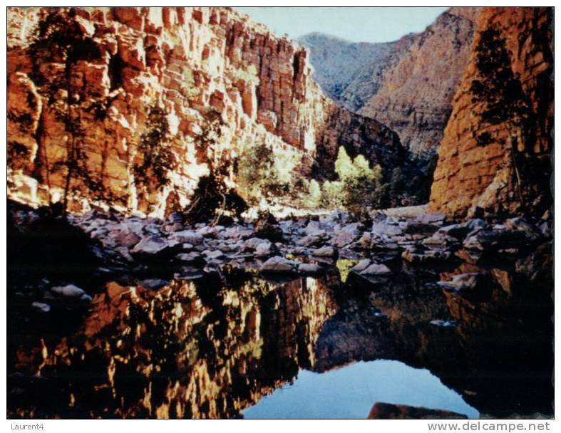 (310) Australia - NT - Ormiston Gorge - Outback