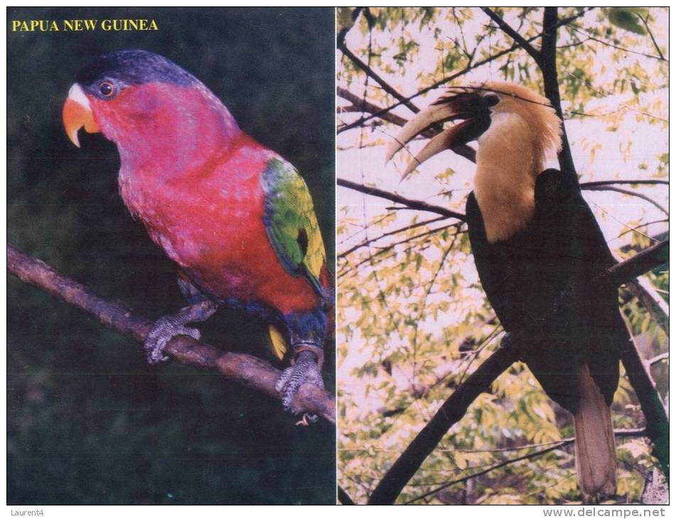 (444) Papua New Guinea - Papaousie Nouvelle Guinée - Birds - Papua-Neuguinea