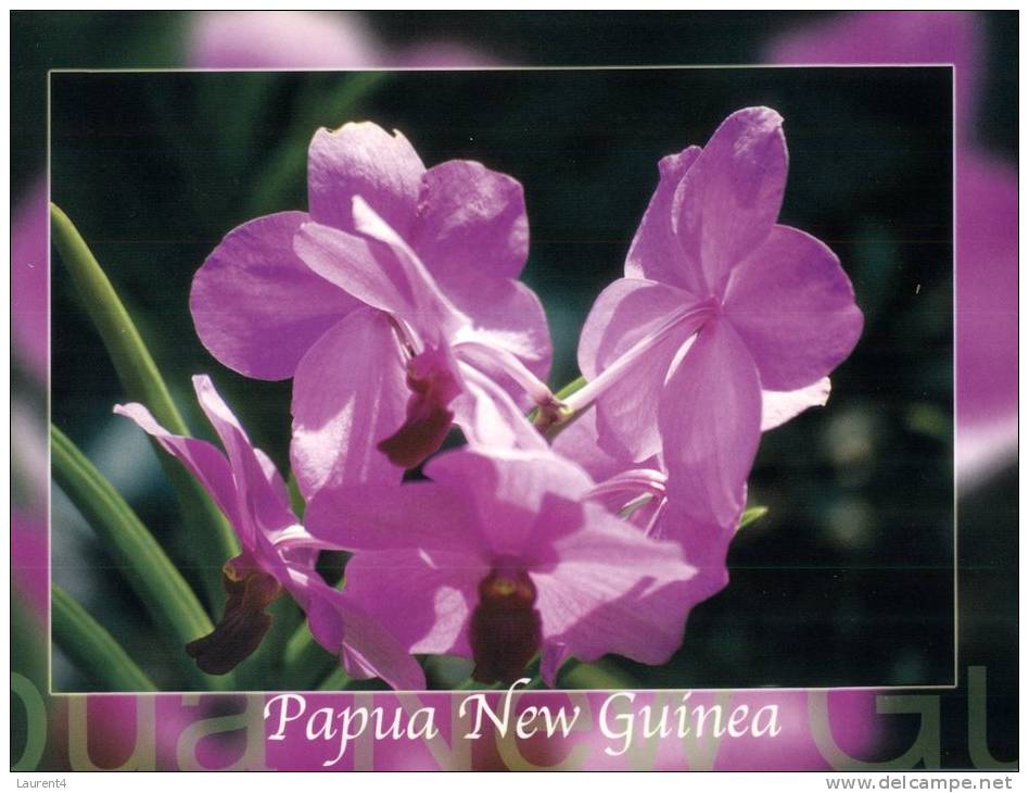 (444) Papua New Guinea - Papaousie Nouvelle Guinée - Orchids - Papua-Neuguinea