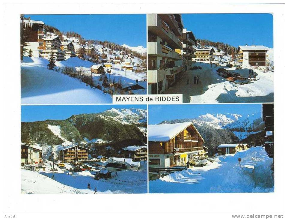 Suisse // Valais //  Mayens De Riddes - Riddes