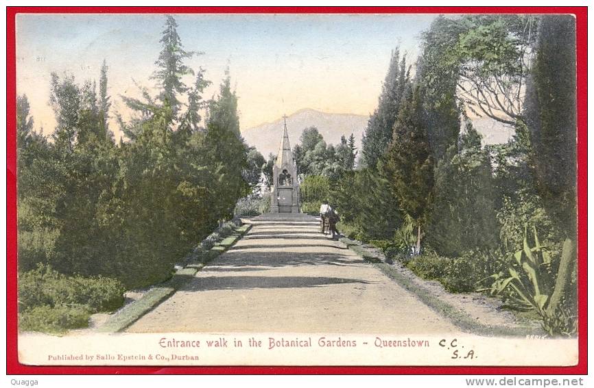 Cape Of Good Hope 1906. Entrance Walk In The Botanical Gardens, Queenstown. - Afrique Du Sud