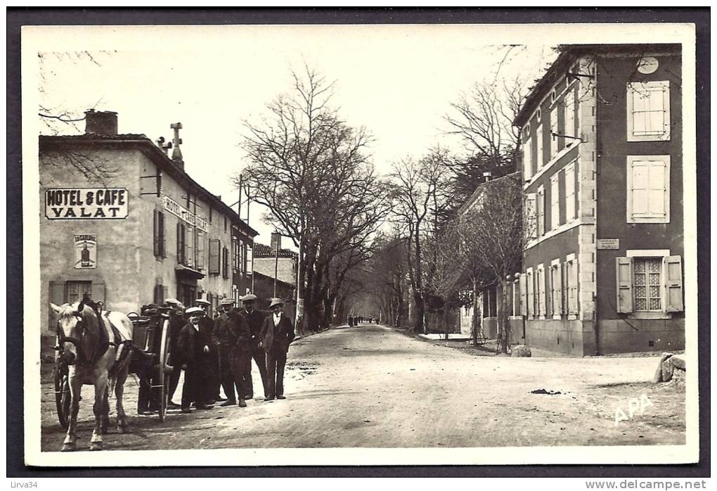 CPA-PHOTO ANCIENNE- FRANCE- ROQUECOURBE (81)- LA ROUTE DE CASTRES AVEC TRES BELLE ANIMATION- ATTELAGE- HOTEL VALAT- - Roquecourbe