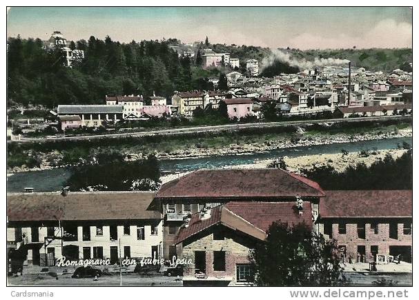 Romagnano Sesia(Novara)-Panorama Con Fiume Sesia-1958 - Novara