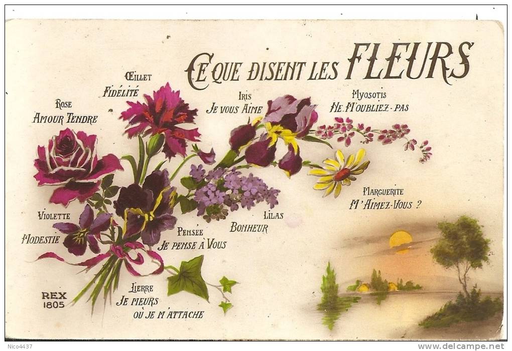 Cpa Langage Des Fleurs - Autres & Non Classés