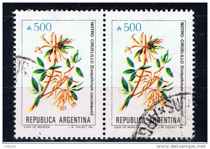 RA+ Argentinien 1989 Mi 1983 (Paar) - Gebraucht