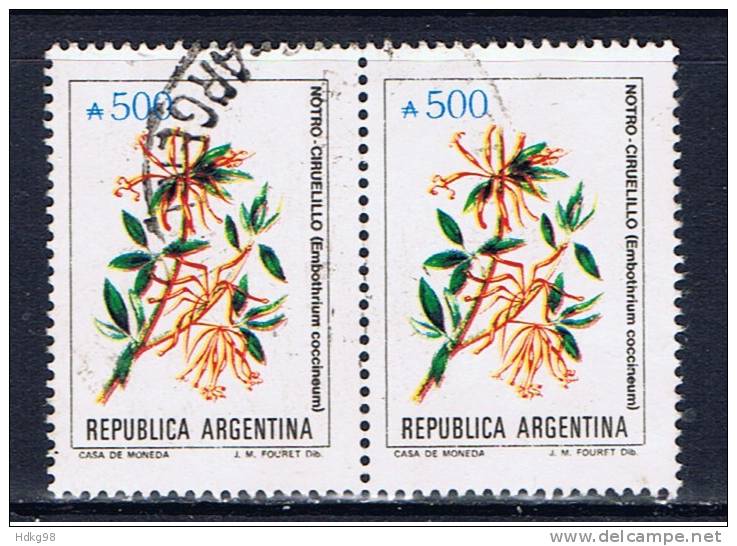 RA+ Argentinien 1989 Mi 1983 (1 Briefmarke, 1 Stamp, 1 Timbre !!!) - Gebraucht