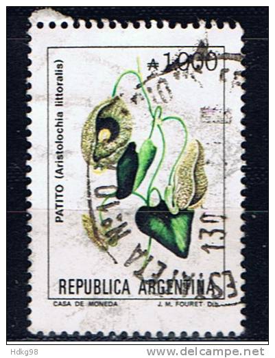 RA+ Argentinien 1990 Mi 2014 - Used Stamps