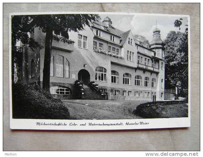 Hameln Weser  -  Milchwirtschaftliche  Lehr Und Untersuchungsanstadt   D103670 - Hameln (Pyrmont)