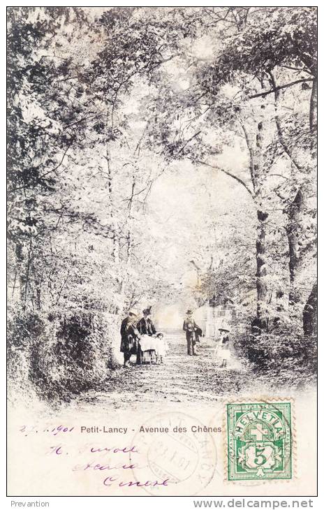 PETIT-LANCY - Avenue Des Chênes - Carte  Circulée 1901 - Lancy