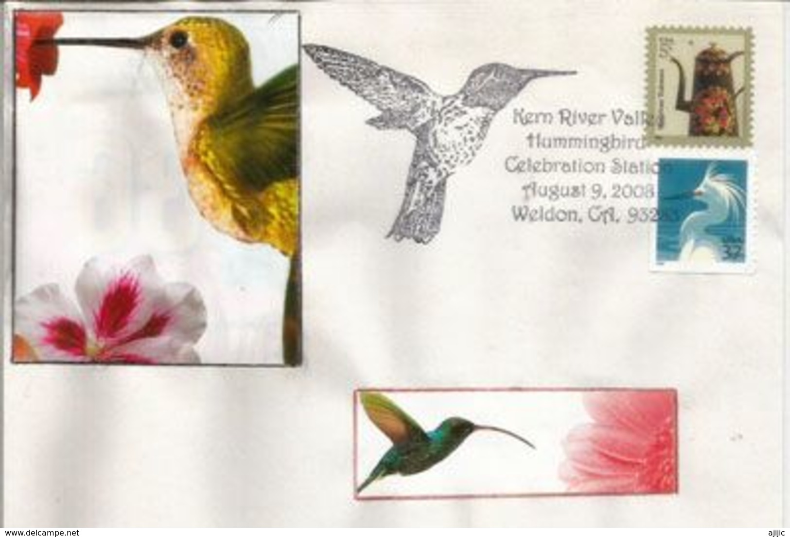 USA. Colibri De La Kern River Valley (Californie) Une Enveloppe Souvenir , Année 2008 - Kolibries