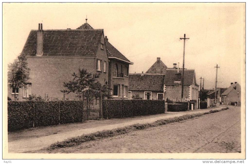 BELGIQUE - FLANDRE ORIENTALE - LOCHRISTI - BEERVELDE - Rivierstraat. - Lochristi