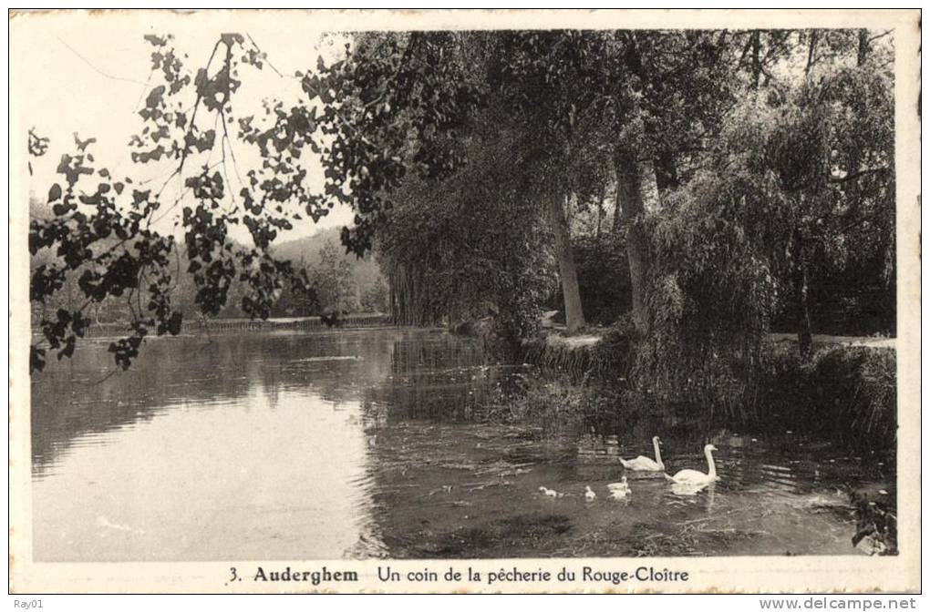 BELGIQUE -  BRUXELLES - AUDERGHEM - OUDERGEM - Un Coin De La Pêcherie Du Rouge-Cloître. - Oudergem - Auderghem