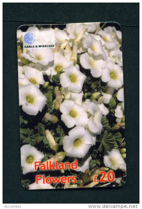 FALKLAND ISLANDS - Remote Phonecard As Scan - Falkland