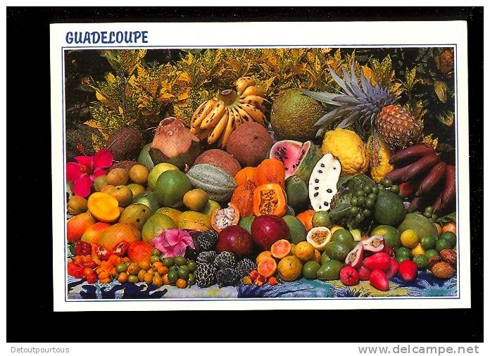 Fruits De La Guadeloupe - Autres & Non Classés