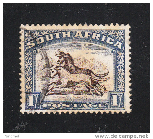 Sud Africa   -   1927/28.  Gnu.  Pair Of  Wildebeests. - Gibier