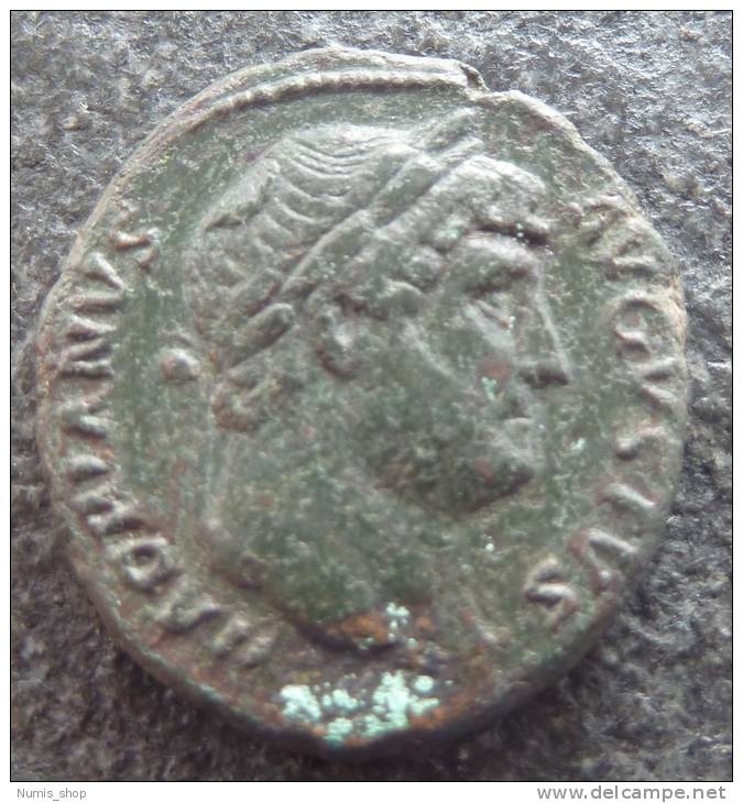 Roman Empire - #336 - Hadrianus - SALVS AVG S-C - XF! - Les Antonins (96 à 192)