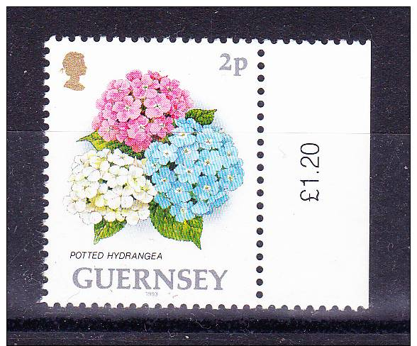GUERNSEY  1993 ,Def´s - Flowers   , Y&T #  606 - 2 P     , Cv 0,20  E , ** M N H , V V F - Guernsey