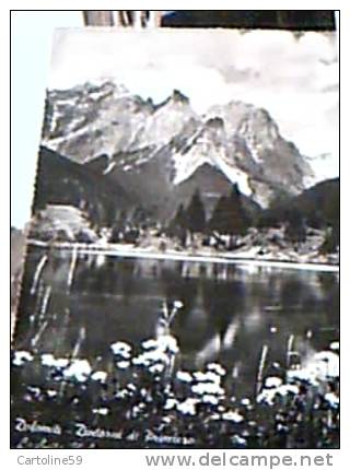 Primiero Dintorni Lago Laghetto WELSPERG E CIMA CANALI VB1951 EF14396 - Trento