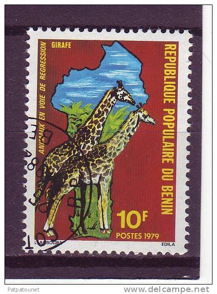 Bénin YV 458 O 1995 1979 Giraffe - Giraffes