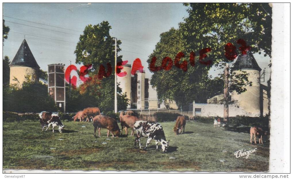 87 - ORADOUR SUR VAYRES - LE CHATEAU DE CROMIERES - Oradour Sur Vayres