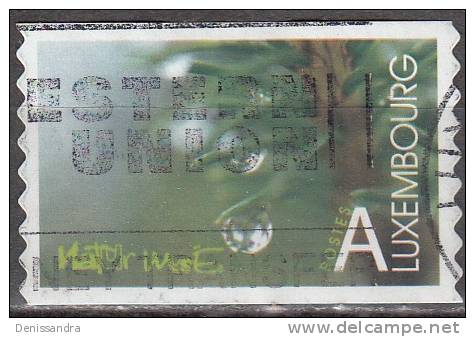 Luxembourg 2002 Michel 1585 O Cote (2008) 1.00 Euro Sapin Cachet Rond - Used Stamps