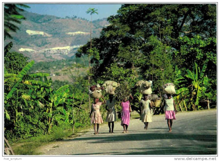 Amérique - Haiti - Kenscoff : On The Way To The Friday Market - Haïti