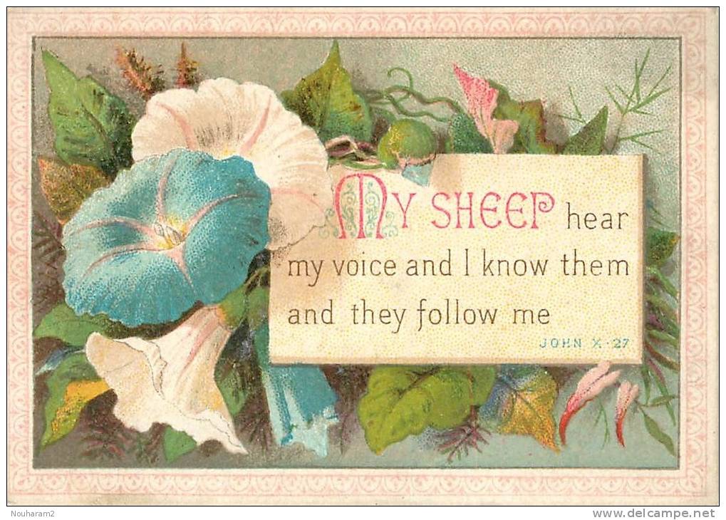 Chromos Réf. B208. My Sheep Hear My Voice And I Know Them And They Follow Me - Fleurs, Flowers - Autres & Non Classés