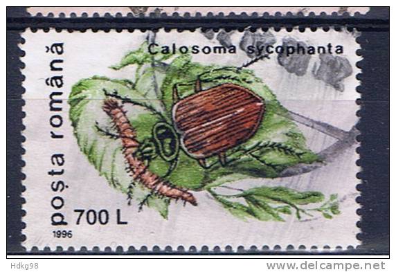 RO+ Rumänien 1996 Mi 5191 Käfer - Used Stamps