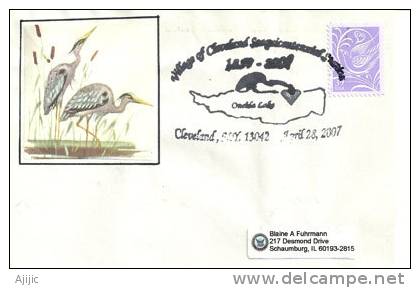 USA. Les échassiers Du Lac Oneida (le Plus Grand Lac De L'Etat De New-York) Enveloppe Souvenir  2007 - Storks & Long-legged Wading Birds