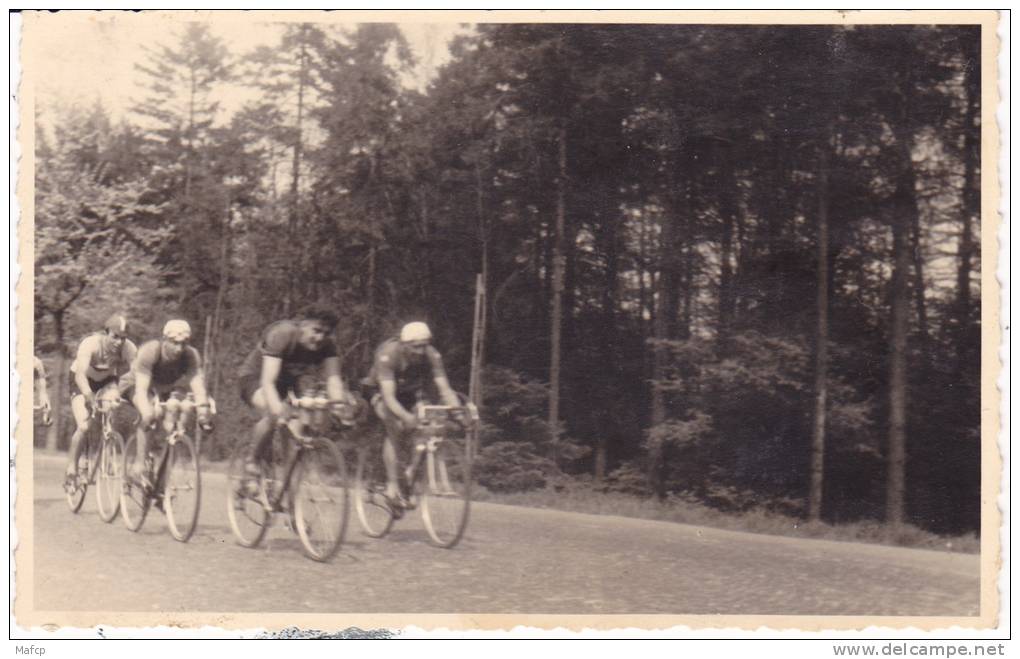 -PHOTO 18 X 13 Cm - Cyclisme