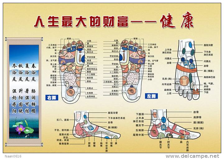 (N049-055  )  Treatment Of Diseases Through The Feet , Hydrotherapy ,  Postal Stationery-Entier Postal-Ganzsache - Bäderwesen