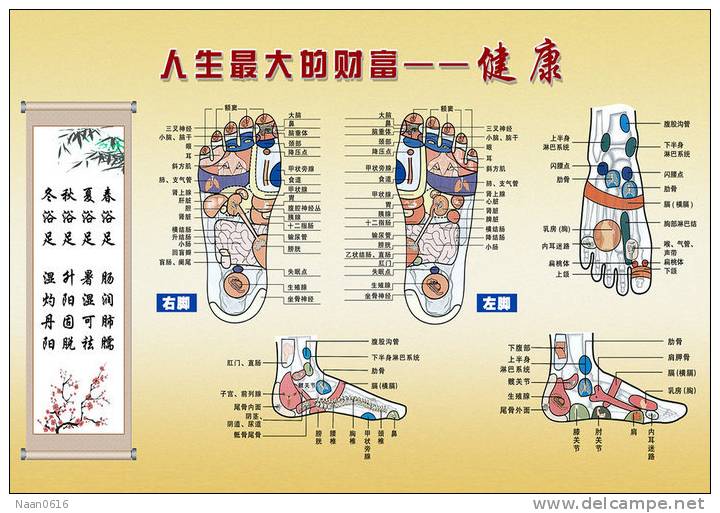 (N049-066  )  Treatment Of Diseases Through The Feet , Hydrotherapy ,  Postal Stationery-Entier Postal-Ganzsache - Kuurwezen