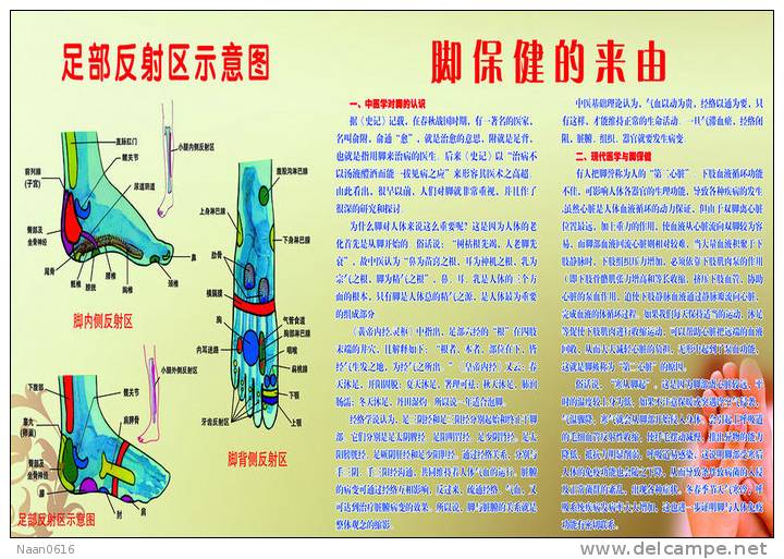 (N049-071  )  Treatment Of Diseases Through The Feet , Hydrotherapy ,  Postal Stationery-Entier Postal-Ganzsache - Thermalisme