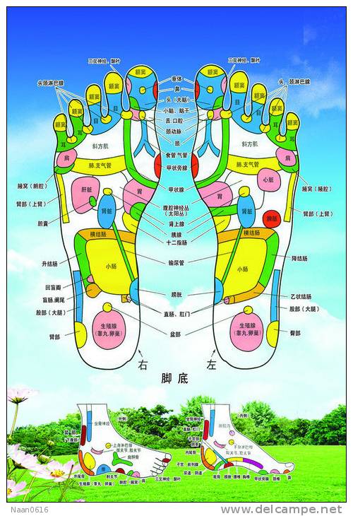 (N049-081  )  Treatment Of Diseases Through The Feet , Hydrotherapy ,  Postal Stationery-Entier Postal-Ganzsache - Thermalisme