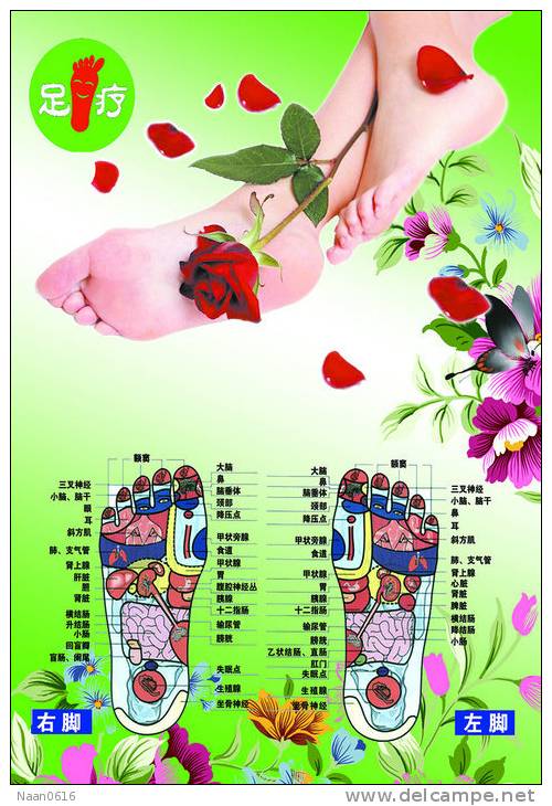 (N049-082  )  Treatment Of Diseases Through The Feet , Hydrotherapy ,  Postal Stationery-Entier Postal-Ganzsache - Thermalisme