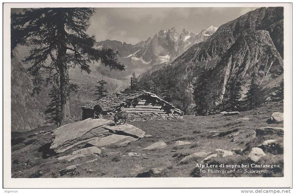 6815 - Alp Lera Di Sopra Bei Castasegna - Castasegna