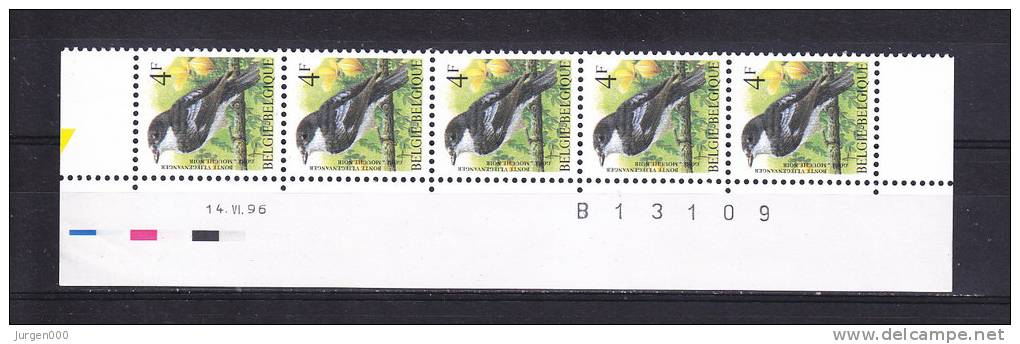 Drukdatum 4 Fr. - Bonte Vliegenvanger - 14.VI.96 - B13109 - 1985-.. Oiseaux (Buzin)