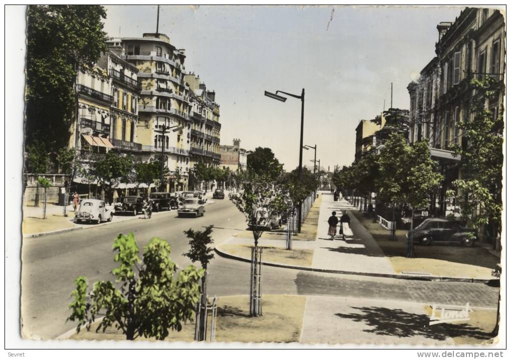 ANGERS - Boulevard Maréchal  -   Beau Plan De Voitures Des Années 50 .  Dentelée. - Angers