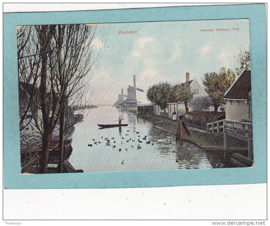 ZAANDAM  -  Aweede  Valdeurs  Pad  -   BELLE CARTE  - - Zaandam