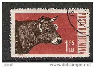 Romania 1962  Farm Animals: Heifer   (o) - Oblitérés